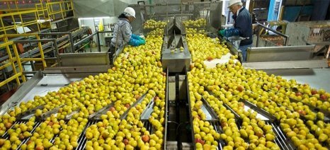 ΠΑΡΕΜΒΑΣΗ Π3-73-2.3 ΤΟΥ ΣΤΡΑΤΗΓΙΚΟΥ ΣΧΕΔΙΟΥ ΚΟΙΝΗΣ ΑΓΡΟΤΙΚΗΣ ΠΟΛΙΤΙΚΗΣ 2023-2027
